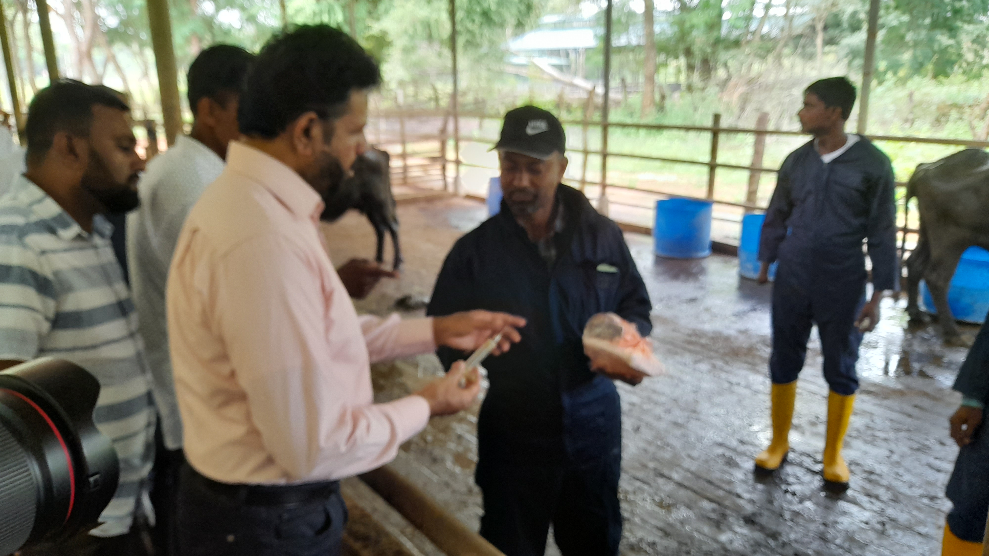 National Post-Disaster Emergency Animal Vaccination Programme (NPDEAVP)