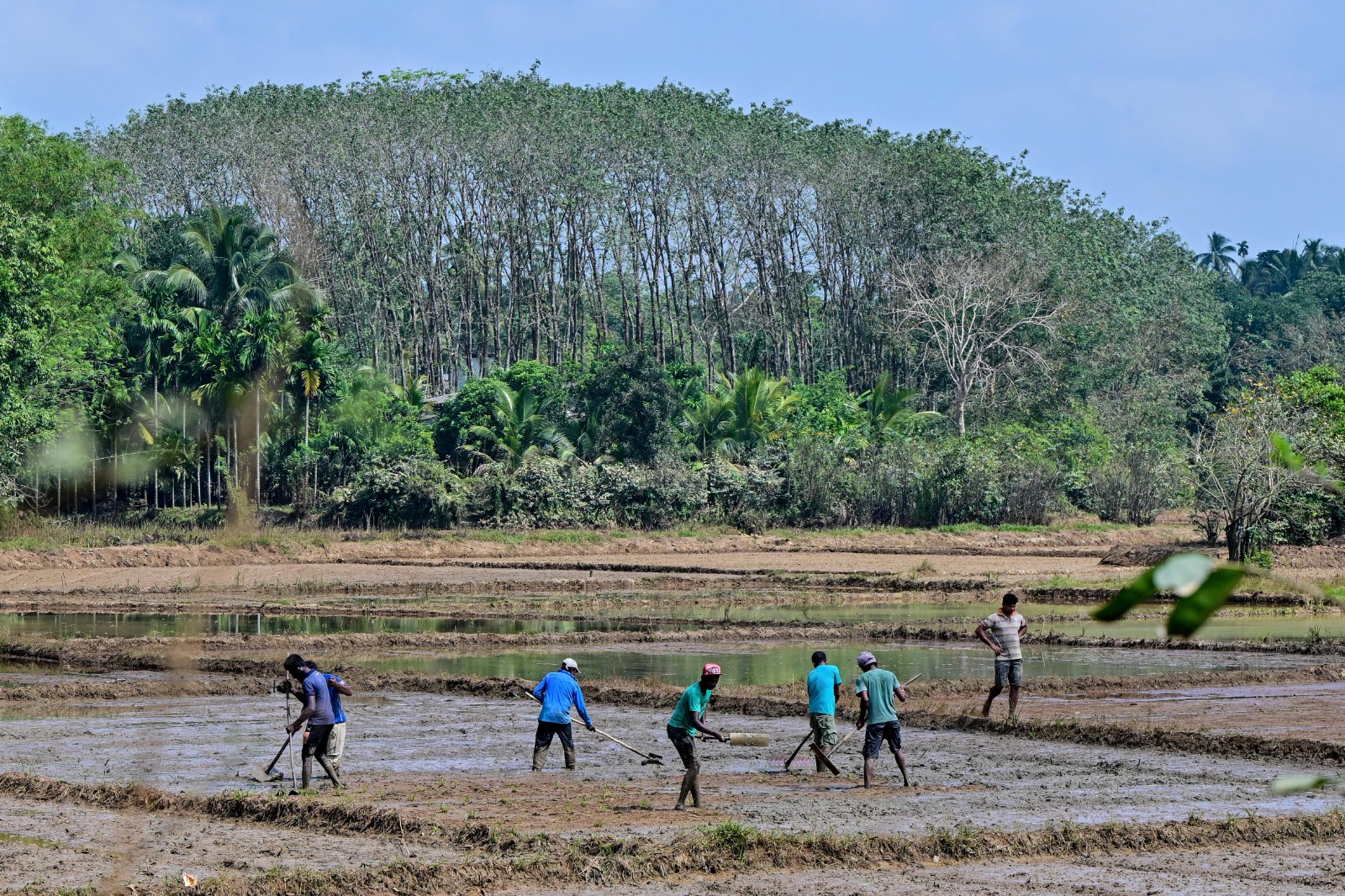 Five-Year Work Plan for Component 2.1, 2.2 and 2.3 (Agriculture Development)